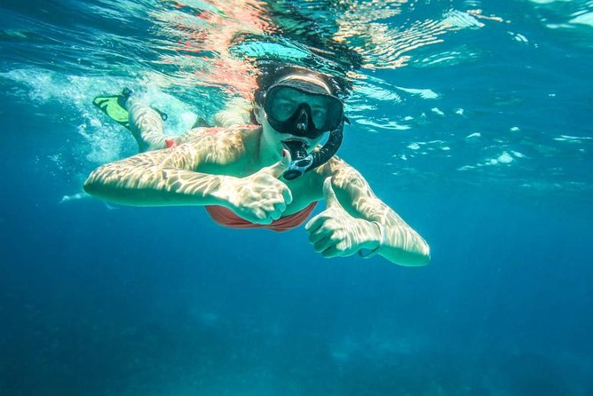Full-Day Trip to Koh Tao and Koh Nang Yuan from Koh Samui by Speedboat - A closer look at the snorkeling