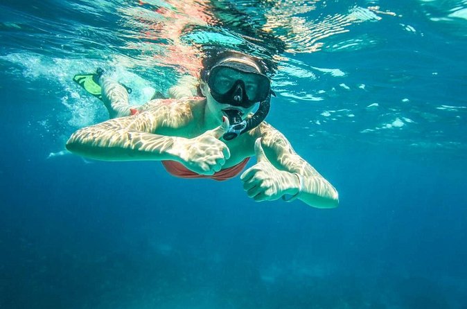 Full-Day Trip to Koh Tao and Koh Nang Yuan from Koh Samui by Speedboat - Who should book this island outing