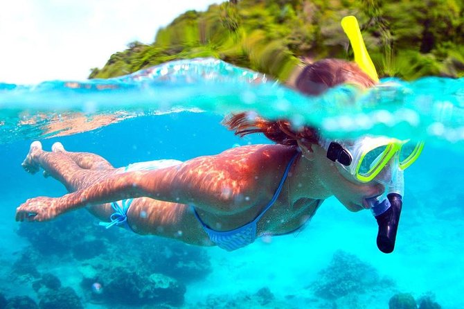 Full-Day Trip to Koh Tao and Koh Nang Yuan from Koh Samui by Speedboat - Koh Tao bays offer the better water time