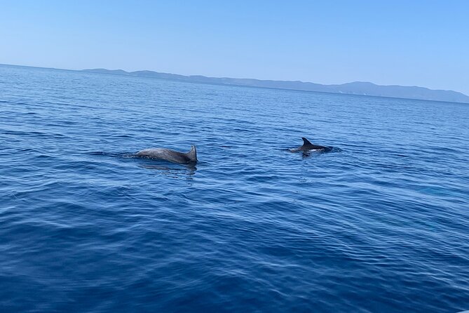 Fully customized private boat trip from Trogir and Split - Brač and lunch in Milna