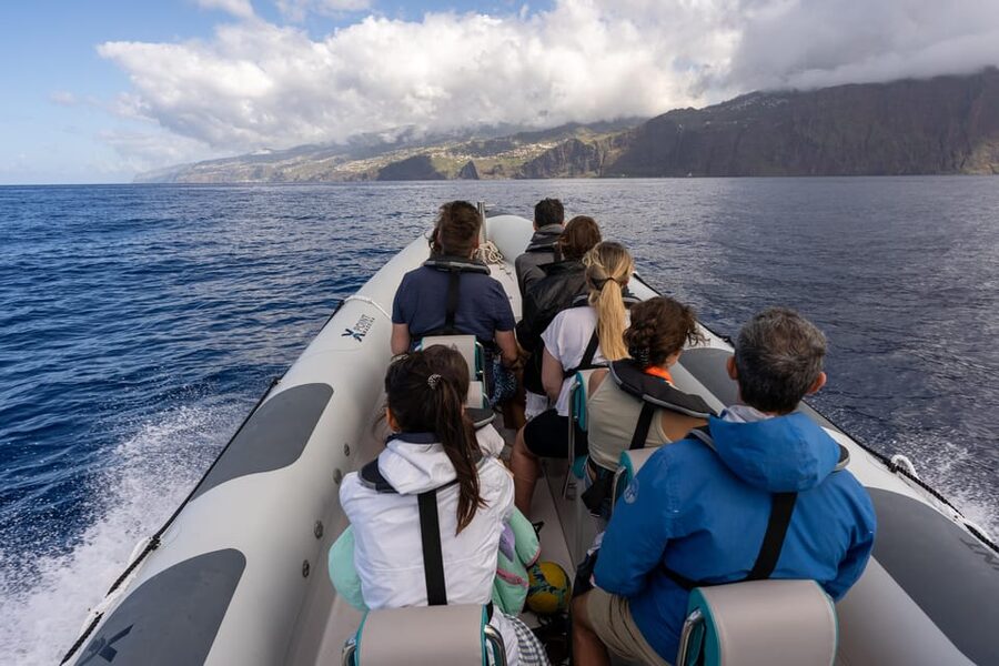 Funchal: Guarantee Wild Dolphin&Whale Watching by RIB - Is $70 good value for Madeira?