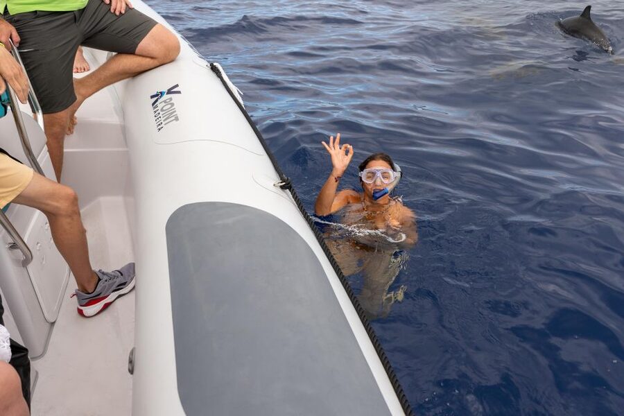 Funchal: RIB Whale Watching Cruise and Optional Dolphin Swim - Searching for dolphins, whales, and turtles