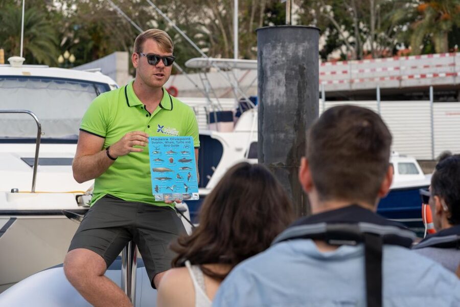 Funchal: RIB Whale Watching Cruise and Optional Dolphin Swim - Who will enjoy this cruise most?