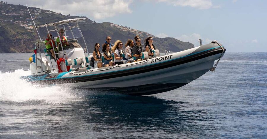 Funchal: RIB Whale Watching Cruise and Optional Dolphin Swim - Leaving Funchal Harbor with Madeira beside you