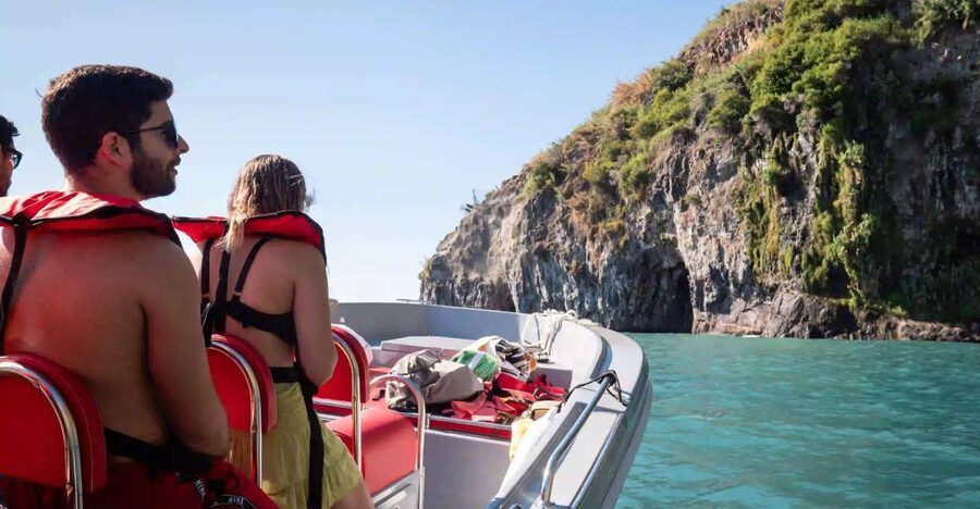 Funchal: Speedboat SEE THE ISLAND AND LIFE AT SEA - Key points to know before booking