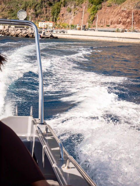 Funchal: Speedboat SEE THE ISLAND AND LIFE AT SEA - The mid-tour swim stop