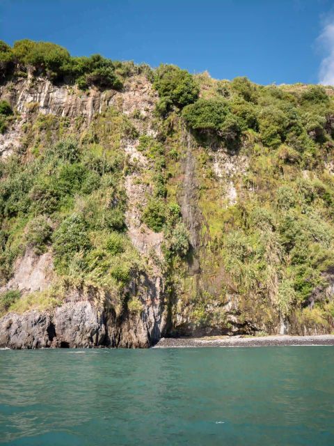 Funchal: Speedboat SEE THE ISLAND AND LIFE AT SEA - Who will enjoy this Madeira boat trip?