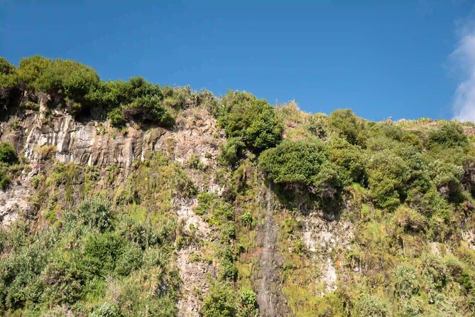 Funchal: Speedboat tour- SEE THE ISLAND AND LIFE AT SEA - A crew that adds context, not just speed