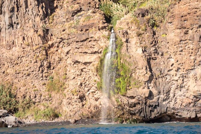 Funchal: Speedboat tour- SEE THE ISLAND AND LIFE AT SEA - Who will enjoy this boat trip most?