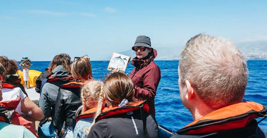 Funchal: Whale and Dolphin Watching Speed Boat Tour - Leaving Pier 8 for Madeira’s open water
