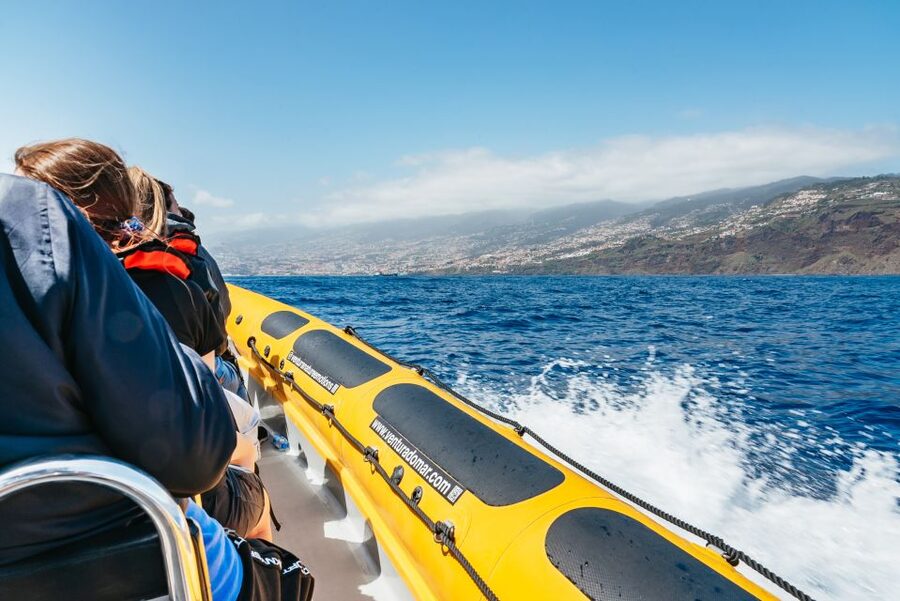 Funchal: Whale and Dolphin Watching Speed Boat Tour - Madeira’s coast from a lower, faster viewpoint