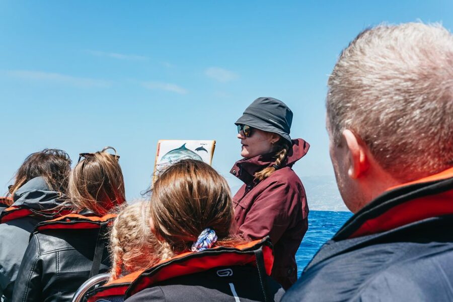 Funchal: Whale and Dolphin Watching Speed Boat Tour - What the 2.5-hour schedule feels like