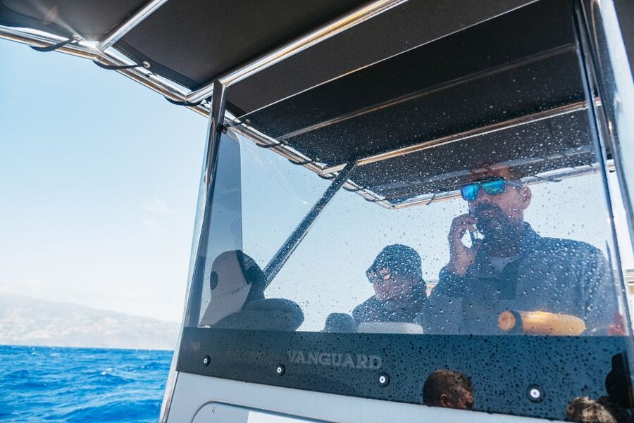 Funchal: Whale and Dolphin Watching Speed Boat Tour - The crew, safety, and respect for wildlife