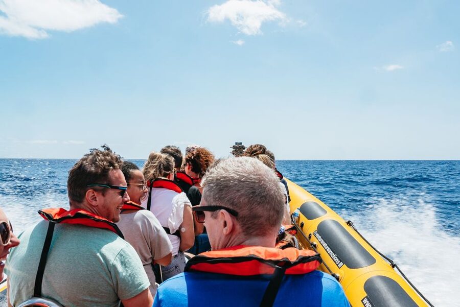 Funchal: Whale and Dolphin Watching Speed Boat Tour - Is $56 good value for this Madeira boat trip?