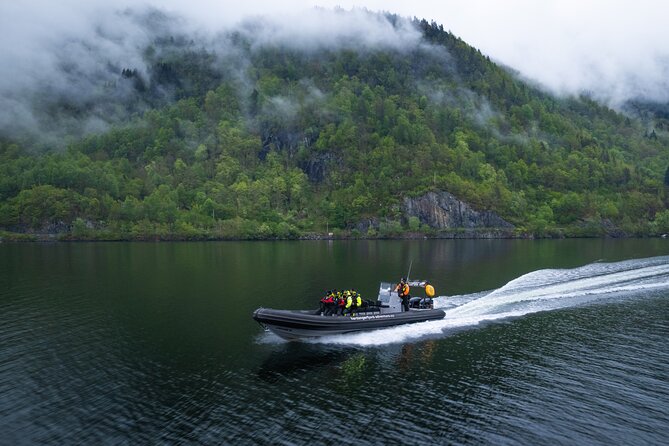 Fyksesund majestic RIB Adventure from Øystese - How much value do you get for $95.93?