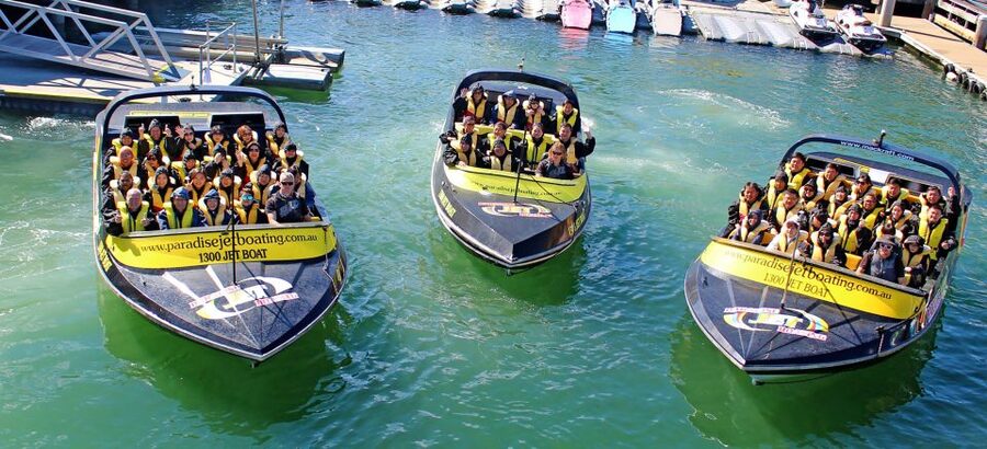 Gold Coast: Extreme Jet Boat Blast Ride - Wildlife in a Marine Park setting