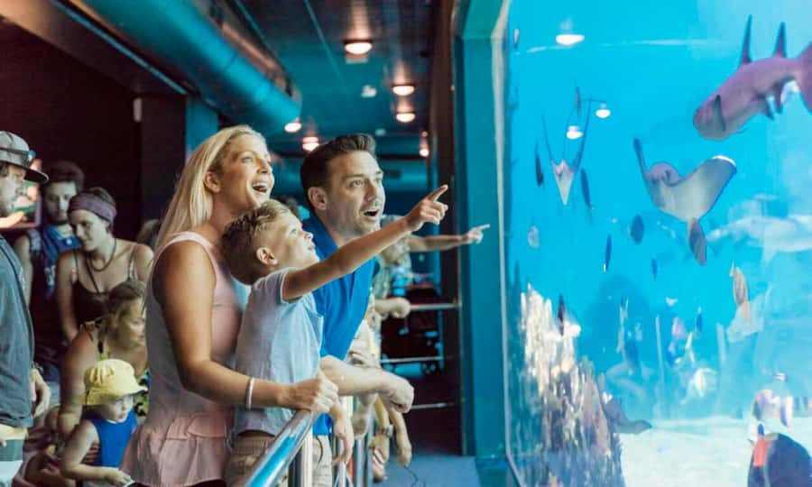 Gold Coast: Jet Boat Ride & Sea World Entry Ticket - Key points to know before you book