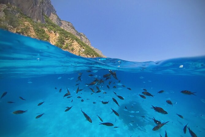 Gulf of Orosei Speedboat Trip with Aperitif from Cala Gonone - Why this seven-hour Gulf of Orosei trip works well
