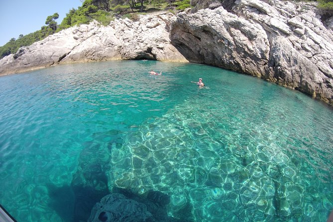 Half-Day Best Beaches & Bays Private Speed Boat Tour - The best parts of the trip at a glance