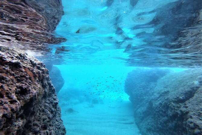 Half-Day Best Beaches & Bays Private Speed Boat Tour - Kolocep Island for snorkeling and caves