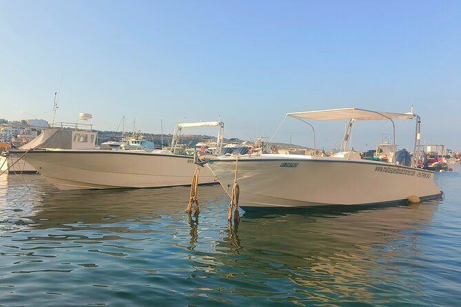 Half Day Malta Speedboat Charter - Santa Maria Caves and Comino’s Rock Formations