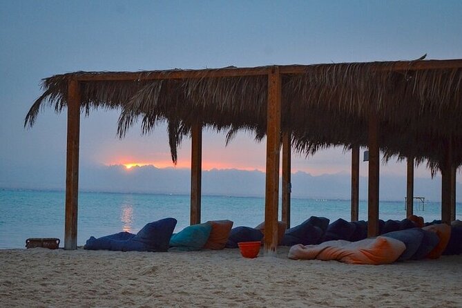 Half Day Private Speedboat Dolphin House & Giftun Island_Hurghada - Dolphin watching near Hurghada