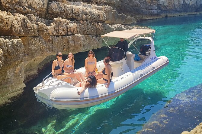 Half-Day Private Speedboat Excursion to Sazan Island & Karaburun - Key details before you book