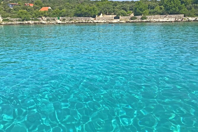 Half Day Speedboat Tour to Three Islands from Trogir - Morning or afternoon: which departure works best?