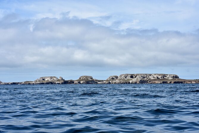 Half-Day Tour to Marietas Islands, Playa Nopalera by Speedboat - Food, drinks, and the ride home