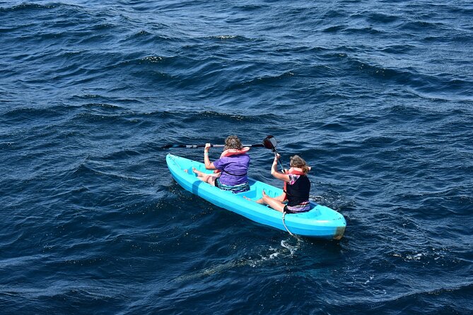 Half-Day Tour to Marietas Islands, Playa Nopalera by Speedboat - Is $106.53 good value?