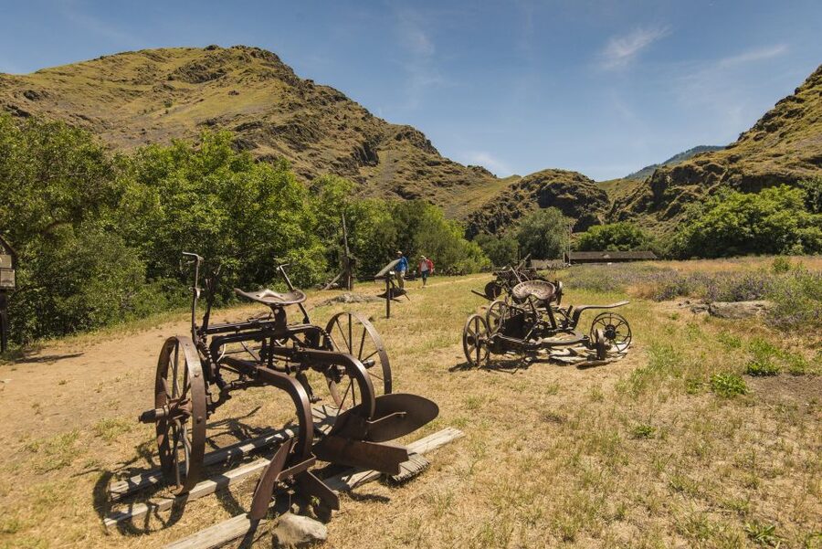Hells Canyon: Yellow Jet Boat Tour to Kirkwood, Snake River - Sheep Creek or Kirkwood Historic Ranch for lunch