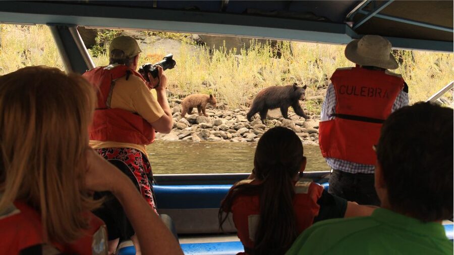 Hells Canyon: Yellow Jet Boat Tour to Kirkwood, Snake River - What the 54-mile route feels like