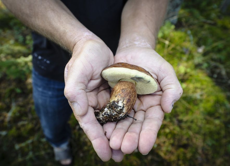 Helsinki: RIB Tour to Local's Cottage with BBQ and Sauna - Walking for berries, mushrooms, and island views