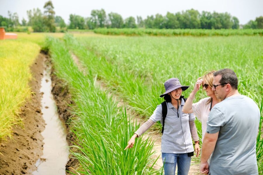 Ho Chi Minh City: Mekong Delta Full-Day Speedboat Tour - What guides add to the day