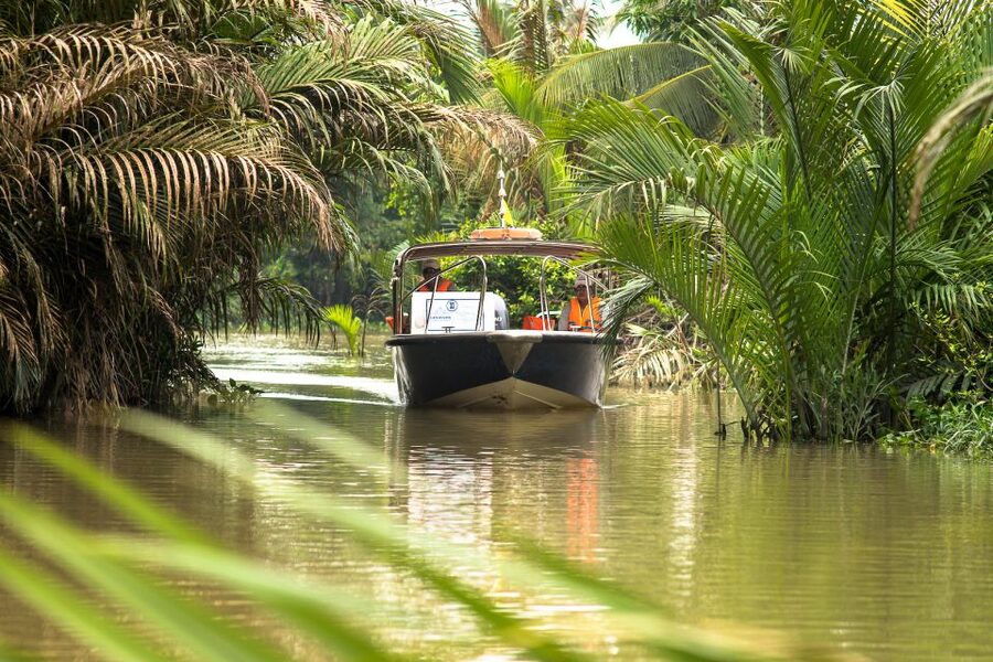 Ho Chi Minh City: Mekong Delta Full-Day Speedboat Tour - The ride back to Ho Chi Minh City