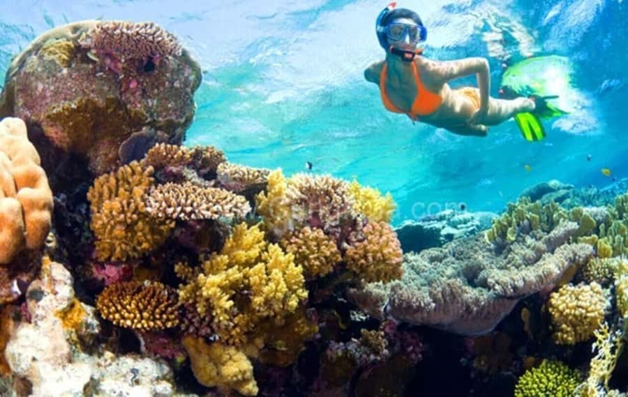 Hoi An: Cham Islands Snorkeling Trip by Speedboat with Lunch - What this Hoi An island day actually includes