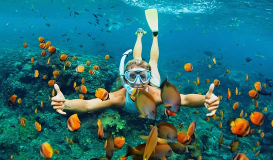 Hoi An: Cham Islands Snorkeling Trip by Speedboat with Lunch - Leaving Cua Dai Pier by speedboat