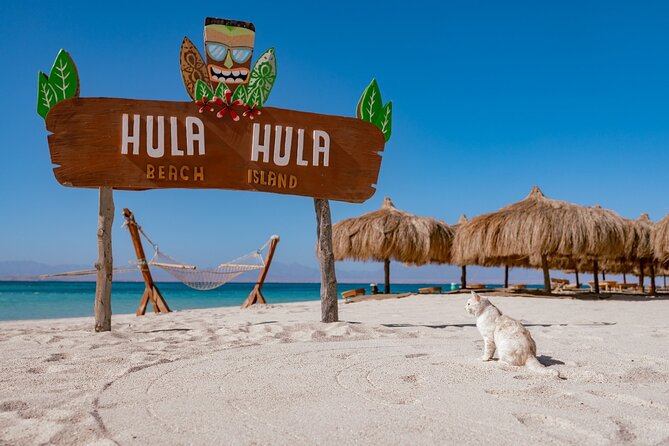 Hula Hula Island and Dolphin House with Snorkeling by Speedboat - Key points to know before booking
