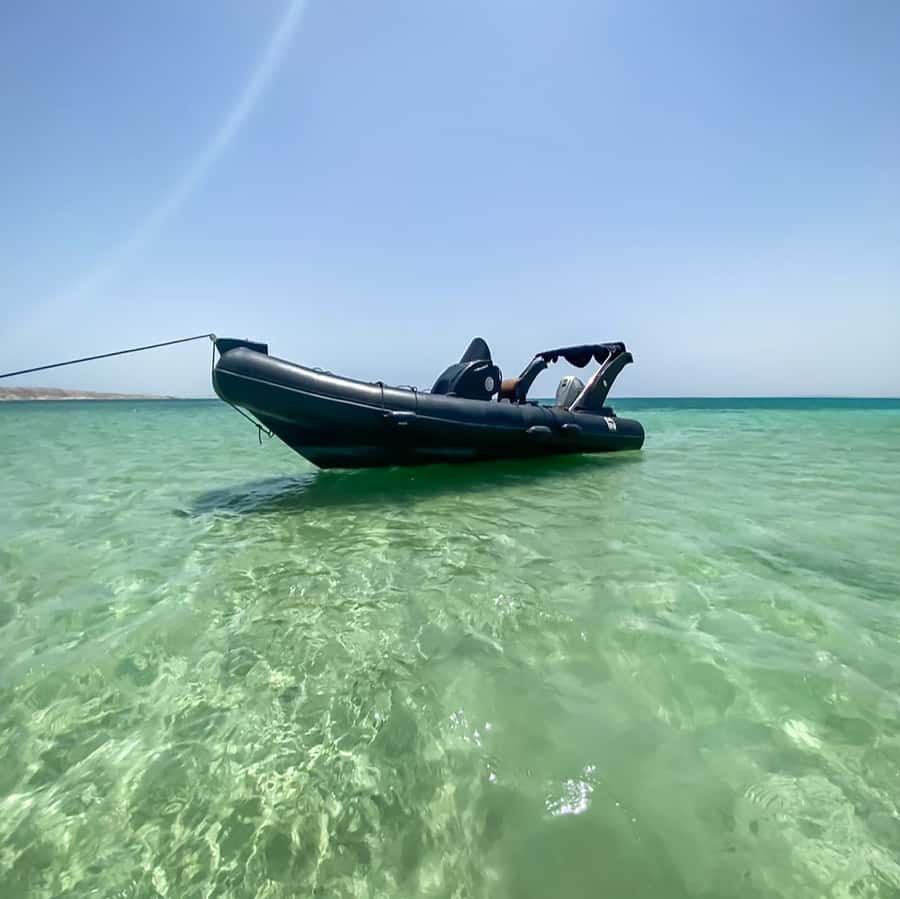 Hurghada: Orange Bay & Magawish Island Speedboat with Lunch - Two snorkeling stops with coral and fish