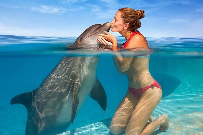 Hurghada: Private 4 Hours Speedboat Dolphin House Snorkling Tour - Leaving Hurghada by private speedboat