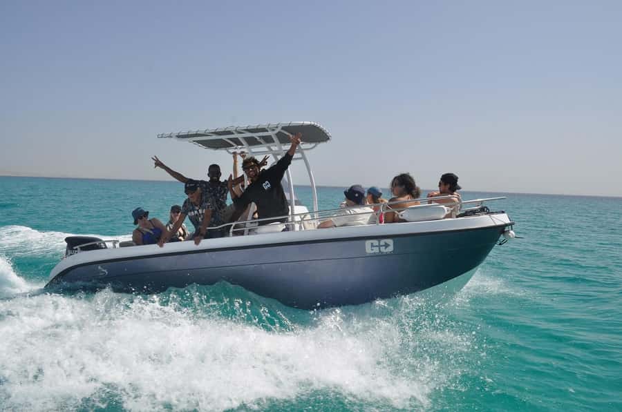 Hurghada: Private Speedboat Adventure with Snacks & Pick-up - Searching for dolphins in their natural home
