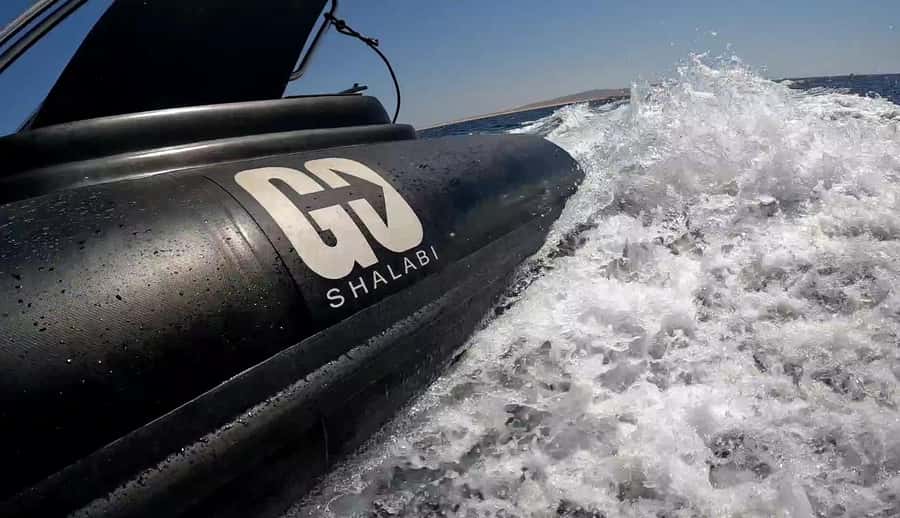 Hurghada: Private Speedboat to Dolphin House with Pickup - What Dolphin House Can Really Offer