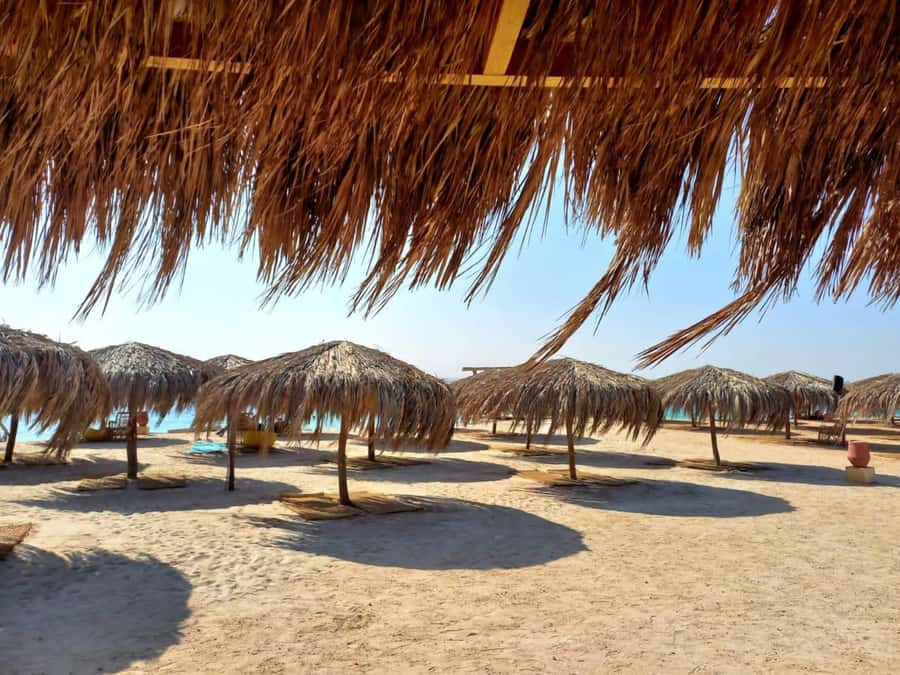 Hurghada: Private Speedboat to Magawish Island - Why this private Red Sea trip works well