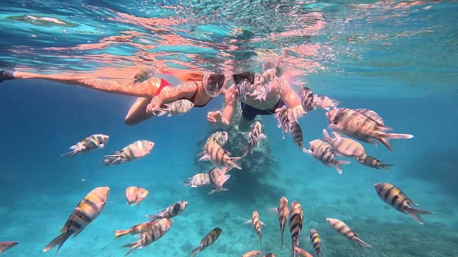Hurghada: Snorkelling Trip by Speedboat with Hotel Pickup - Abu Mingar and the shallow-water finish