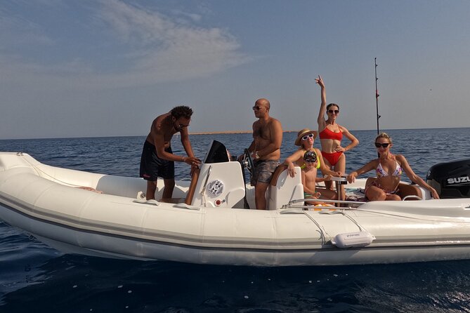 Hurghada Speedboat Dolphin Watching and Snorkeling - What the four-hour trip is really like