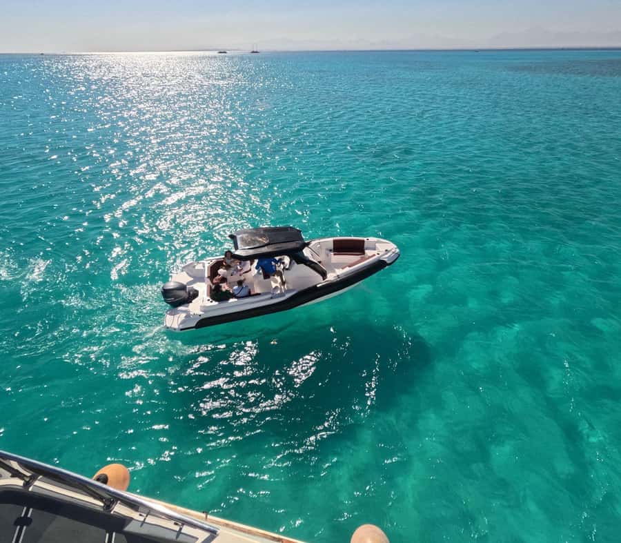 Hurghada: Speedboat Dolphin Watching & Snorkeling with Lunch - The dolphin search takes patience