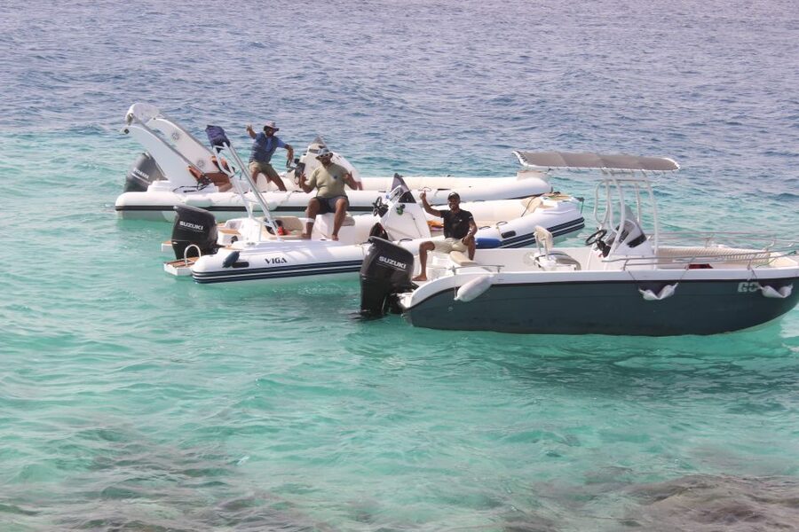 Hurghada: Speedboat Parasailing Adventures & Hotel Pick up - Two snorkeling stops, if selected