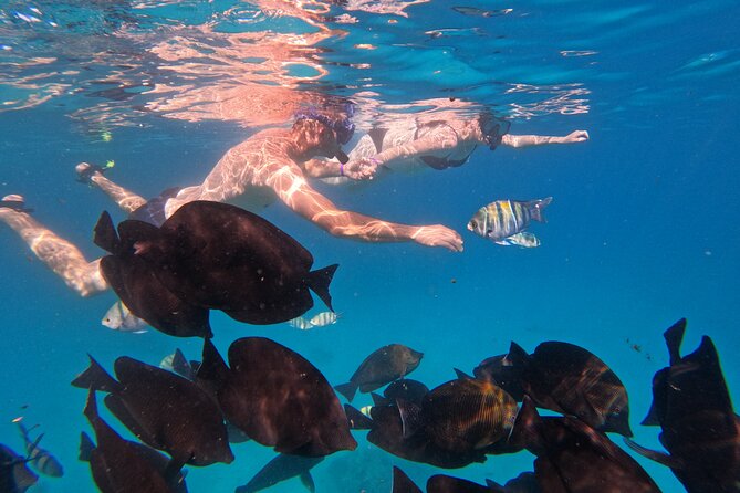 Hurghada Speedboat Trip to Orange Bay and Magawish Islands - Giftun Islands: two short snorkeling sessions