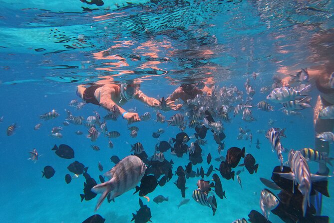 Hurghada Speedboat Trip to Orange Bay and Magawish Islands - Magawish Island and the first chance to snorkel