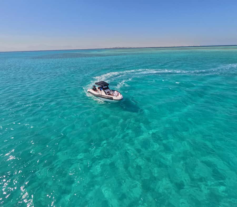Hurghada: Turtle Bay Speedboat Tour with Snorkeling - Turtle Bay and the limits of wildlife promises